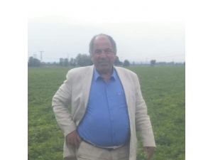 İnek Otlatmaya Giden Yaşlı Adamın Cesedi Bulundu