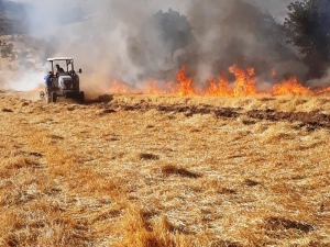 Mardin’deki Yangın İtfaiye Ve Vatandaşın Çabasıyla Söndürüldü