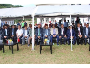 Örnek Bahçede Ekonomik Fındık Hasadı Töreni Yapıldı