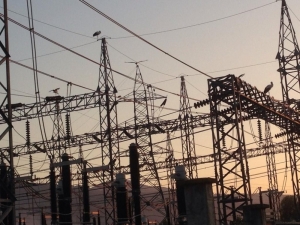 Leylekler Trafo Merkezine İndi, Bölge Elektriksiz Kaldı