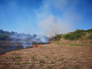 Mangal Yaparken Yangın Çıkardılar