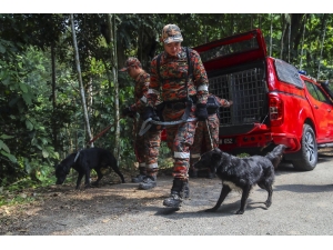 Malezya’da Kayıp İrlandalı Kızın Ayak İzi Bulundu