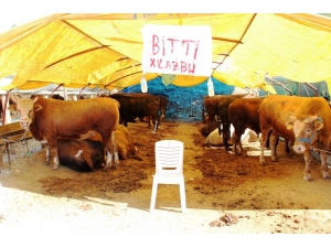 İzmirliler Kurban Almak İçin Arife Gününü Bekliyor