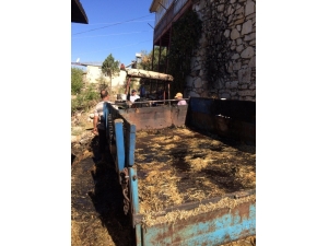 Yanan Traktörü Orman Arazözü Söndürdü