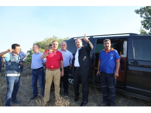 Bursa’da 50 Hektar Ormanlık Alan Yangında Zarar Gördü