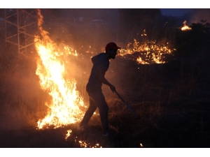 Anız Yangınına Kova Ve Hortumla Müdahale Ettiler