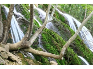 160’dan Fazla Kelebek Türüne Ev Sahipliği Yapıyor