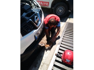 Otomobilin Motor Bölümüne Giren Kedi Yavrusunu İtfaiye Kurtardı