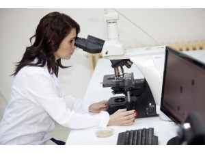 Polenin Doğurganlık Arttırıcı Etkisi