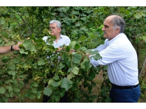 Ak Parti Giresun Milletvekili Cemal Öztürk: