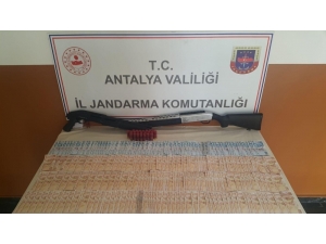 Sahte 23 Bin Tl Vererek 17 Kurbanlık Alan Şüpheliler Yakalandı