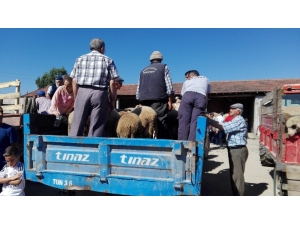 Kurbanlıklar Elde Kaldı