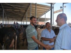 Başkan Bozkurt Kurban Pazarını Ziyaret Etti