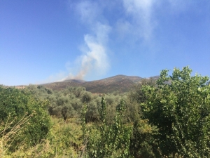 Ödemiş’te Orman Yangını: Yangın Kontrol Altına Alındı