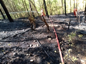 Kaş’ta Çamlık Alanda Yangın