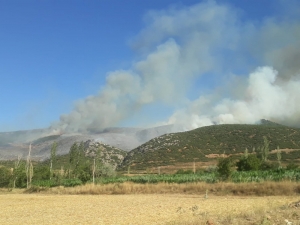 Afyonkarahisar’ın Başmakçı İlçesinde Çıkan Orman Yangını Sabaha Karşı Kontral Altına Alındı