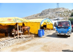 Kurban Satış Yerlerinde Hijyen