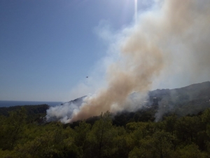 Antalya’da Orman Yangını