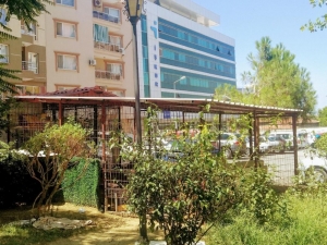 Kedi Evinin Onarımını Yaparak Ceza Almaktan Kurtuldu