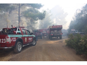 Antalya’da 3 Saat Süren Orman Yangını Kontrol Altına Alındı