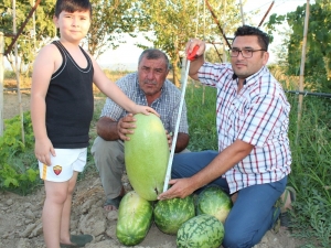 Suudi Arabistan’da Tadına Baktı Türkiye’de Üretti
