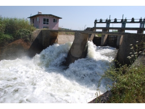 Manisalı Çiftçi Vahşi Sulamadan Kurtulmak İstiyor