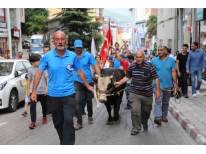 Festivaller Şehri Artvin’de Yılda 84 Festival Yapılıyor