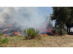 Kartal’da Otluk Alanda Çıkan Yangın Otoparka Sıçramadan Söndürüldü