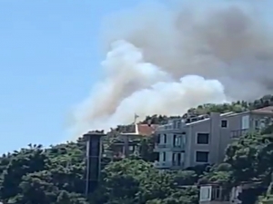 Burgazada’da Korkutan Orman Yangını