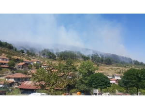 Alaçam Dağlarındaki Yangın Söndürüldü