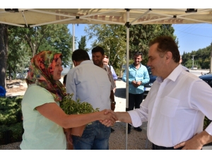 Bilecik Belediye Başkanı Şahin Vatandaşlarla Bayramlaştı