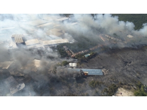 Gebze’de Orman Ve Çalılık Yangını Havadan Görüntülendi
