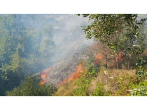 Marmara Adası’nda Kontrol Altına Alınan Yangın Tekrar Başladı
