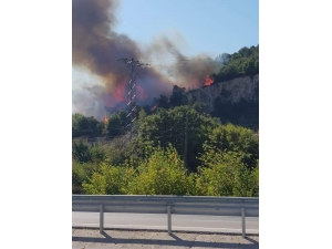 Biga’da Orman Yangını