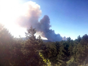 Kütahya’da Orman Yangını