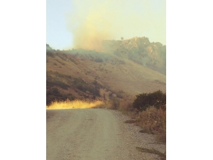 Alevler Büyümeden Söndürüldü