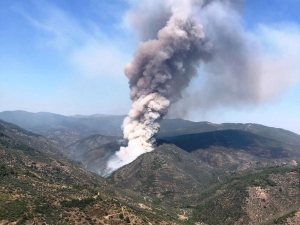 İzmir’de Orman Yangını