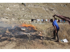 Sivas’ta 50 Dönüm Otluk Alan Yandı