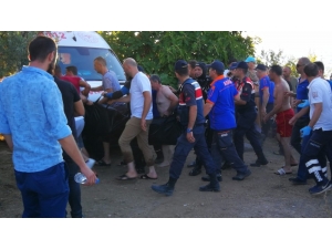 Abisinin Boğulduğu Haberini Alır Almaz Kendini Göle Attı