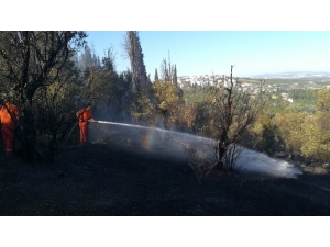 Gebze’de 3 Yerde Çıkan Yangında 20 Dönüm Sit Alanı Zarar Gördü