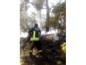 Yangına İtfaiyeden Zamanında Müdahale