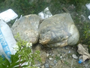 Boş Tarlaya Atılan Kurban Atıkları Kötü Kokulara Neden Oldu