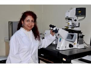 Karaciğer Kanserini Yapay Zekâ Tedavi Edecek