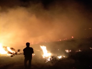 Ot Yangını Evlere Sıçramadan Söndürüldü