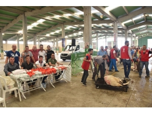 Kurban Bayramı Tepabaşı’nda Huzur İçinde Geçti