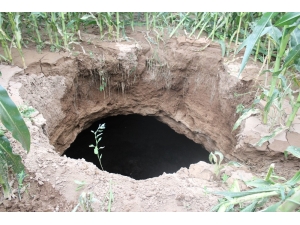 Konya’da Mısır Tarlasında Korkutan Obruk