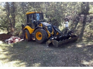Aldıkları Kurbanlık Tüberküloz Çıktı