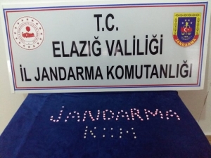 Narkotik Köpeği Tepki Verdi, Uyuşturucu Ele Geçirildi