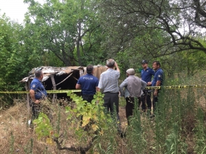 İncir Toplarken Boynundan Asılan Adam Öldü