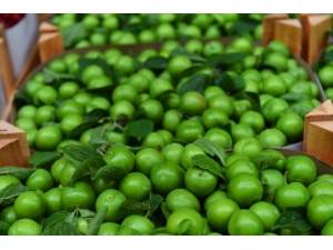 Temmuz’da Eriğin Fiyatı Yüzde 41.44 Düştü